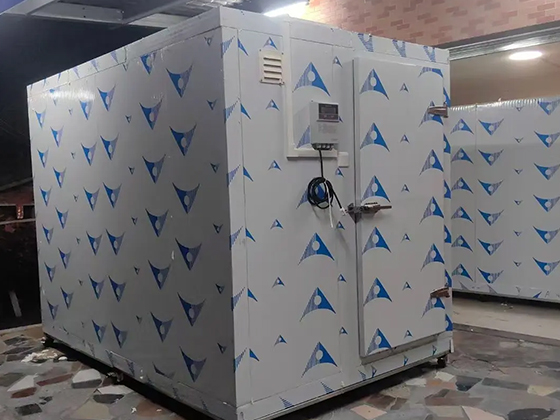 Customizable Small Modular Cold Room & Freezer for Diverse Storage Needs