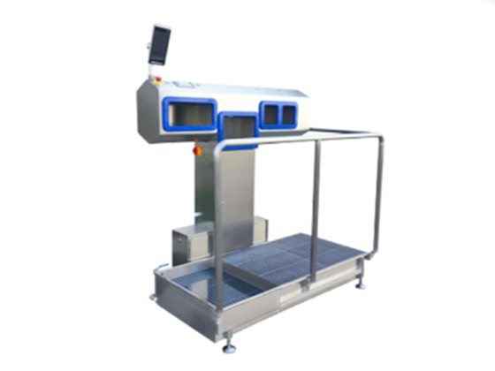Disinfection Access Control Machine BH-05A