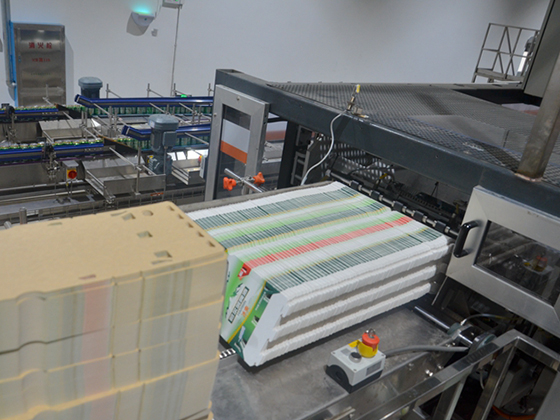 Glue-spraying card packaging machine