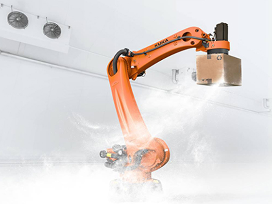 Deep-freeze palletizer (up to -30 °C)