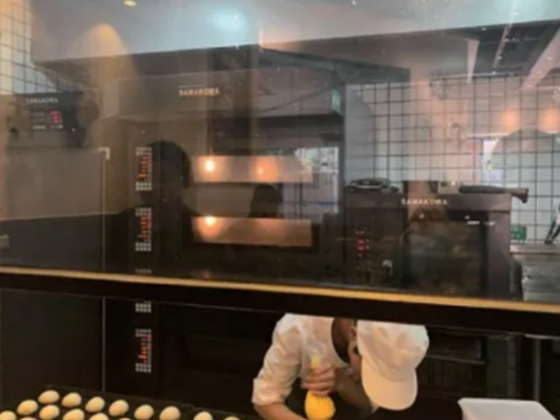 High-end flagship European-style oven combination---PC-G5D	