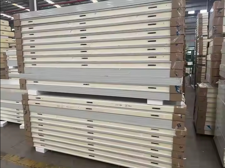 Customizable Cold Room Panels & Automatic Sliding Doors | Walk-in Cold Storage Solutions with PU Insulation