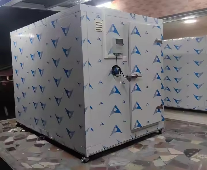 Customizable Walk-in Cooler & Freezer System | Modular Cold Room for Quick Freezing & Cold Storage