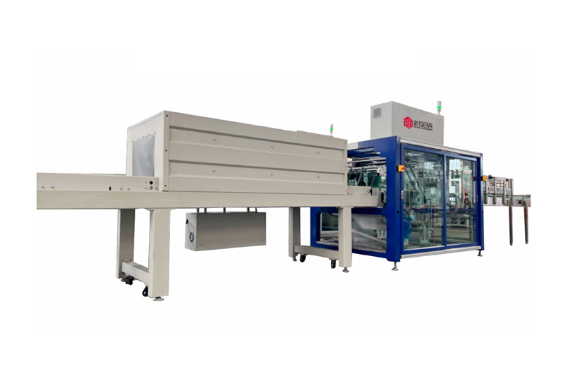 Fully automatic linear one piece wrapping machine--PMWP-25/30