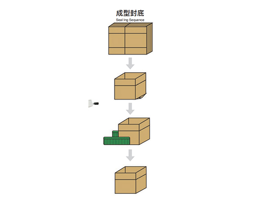 Automatic Case Erector---PMKX-12