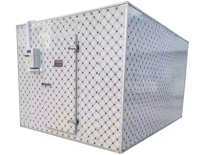 Customizable Walk-in Cooler & Freezer System | Modular Cold Room for Quick Freezing & Cold Storage
