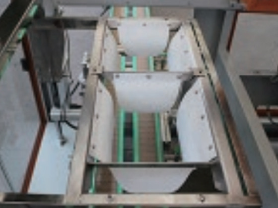 Piece Type Automatic Case Packer---PMZX-20X