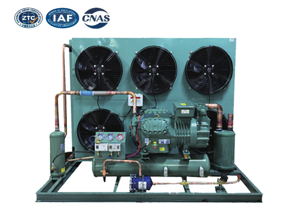 Semi enclosed piston air-cooled--LTBFF-12HP