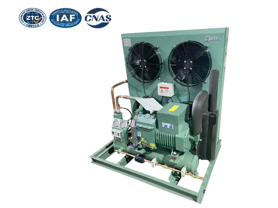 Semi enclosed piston air-cooled--LTBFF-12HP