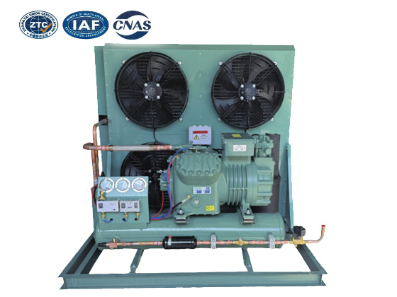 Semi enclosed piston air-cooled--LTBFF-12HP