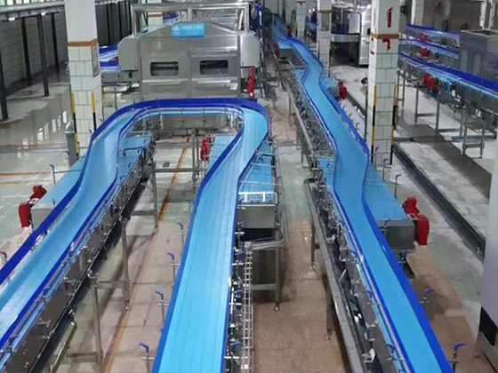 Conveyor System