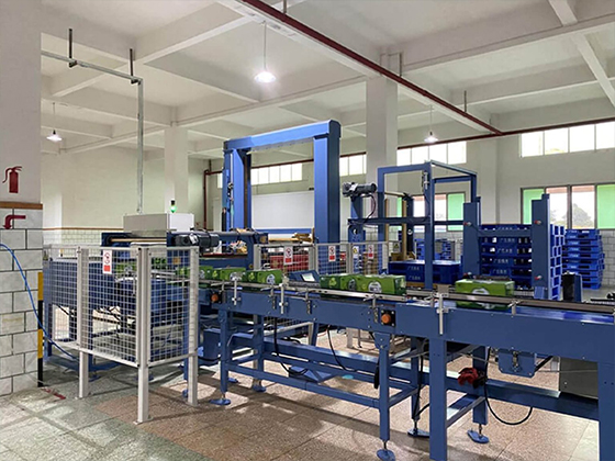 Full Automatic Carton Case Palletizer