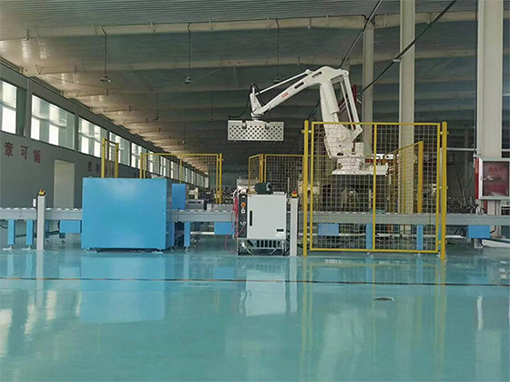 Full Automatic Carton Case Palletizer