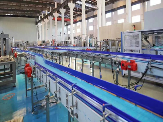 Conveyor System