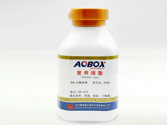 Brain Heart Infusion Agar