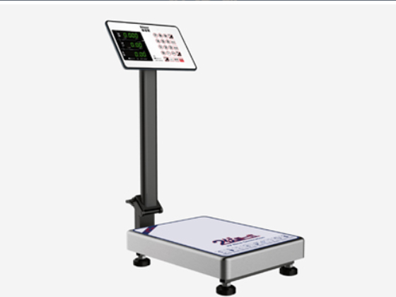  TCS-T97 electronic pricing platform scale
