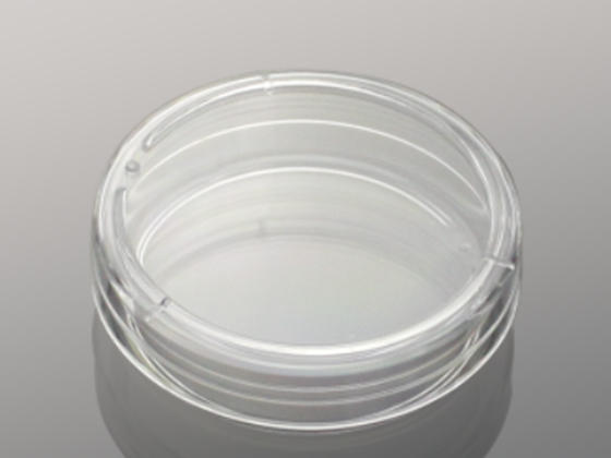Petri dish