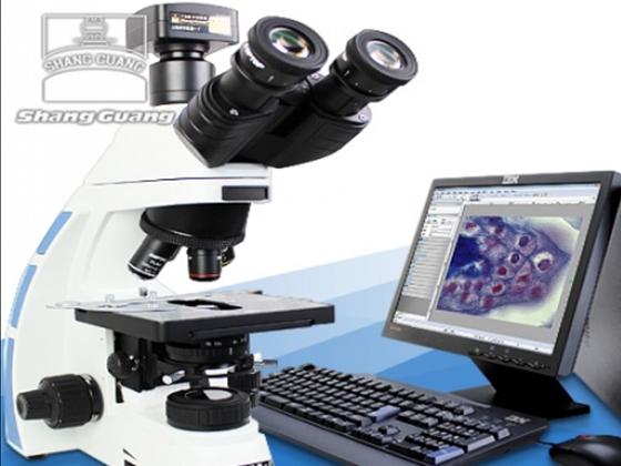 Biological microscope---XSP-11CA