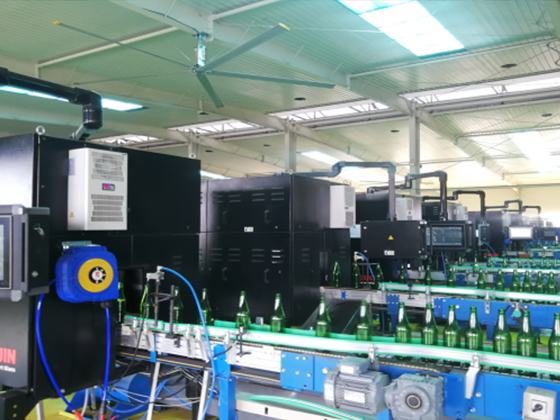 Single-line Conveyor