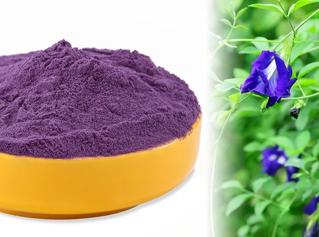 butterfly pea flower extract