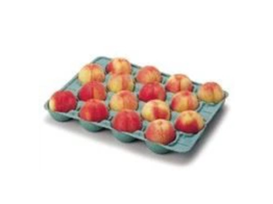 Fully Automatic Egg Tray Machine --- ET1800