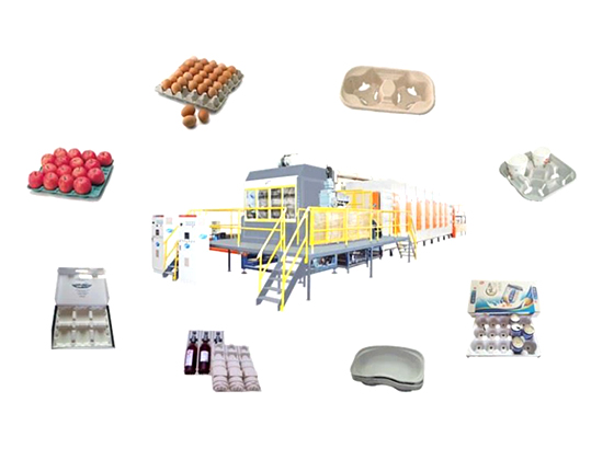 Fully Automatic Egg Tray Machine --- ET1800