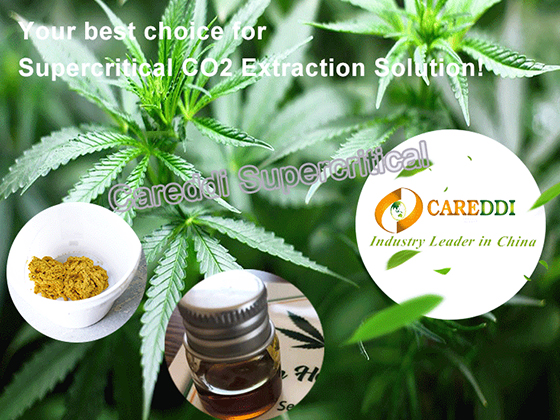 Supercritical CO2 Extraction Machine