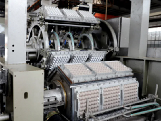 Double Rotary Egg Tray Machine---7000B2C	