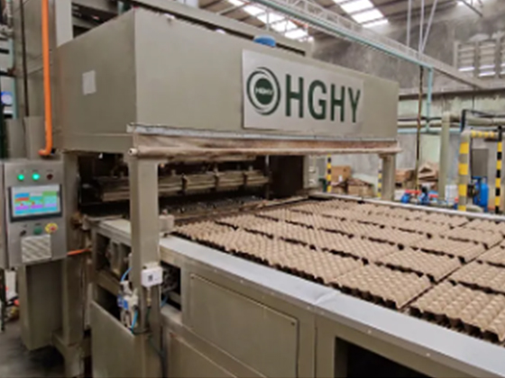 Reciprocating Egg Tray Machine