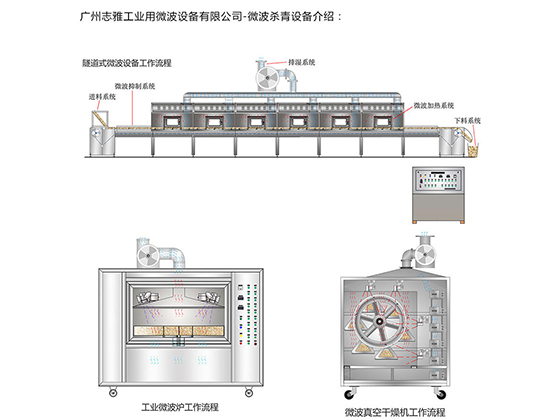 Microwave blanching machine for honeysuckle---ZY-20HM