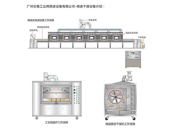 Microwave sterilization equipment---ZY-20HM