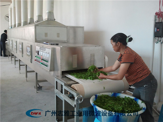Tea microwave blanching machine---ZY-20HM