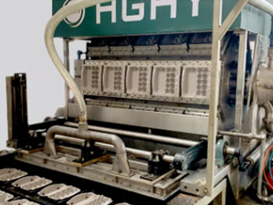 Double Rotary Egg Box Making Machine---12000H2C