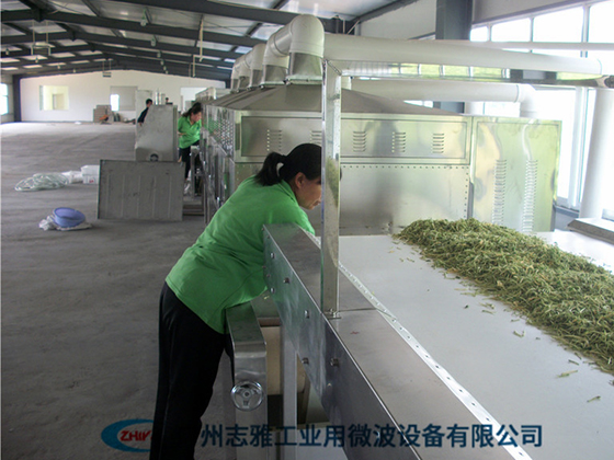 Microwave blanching machine for honeysuckle---ZY-20HM