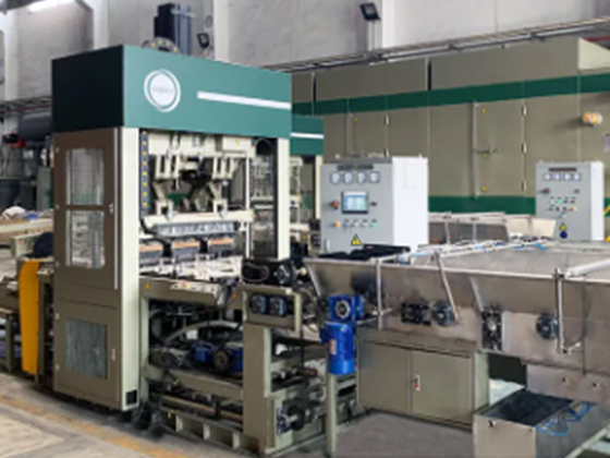 Double Rotary Egg Box Making Machine---12000H2C