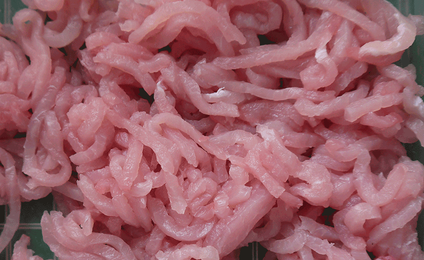 ZW-451 Meat Slicing and Shredded Meat Machine