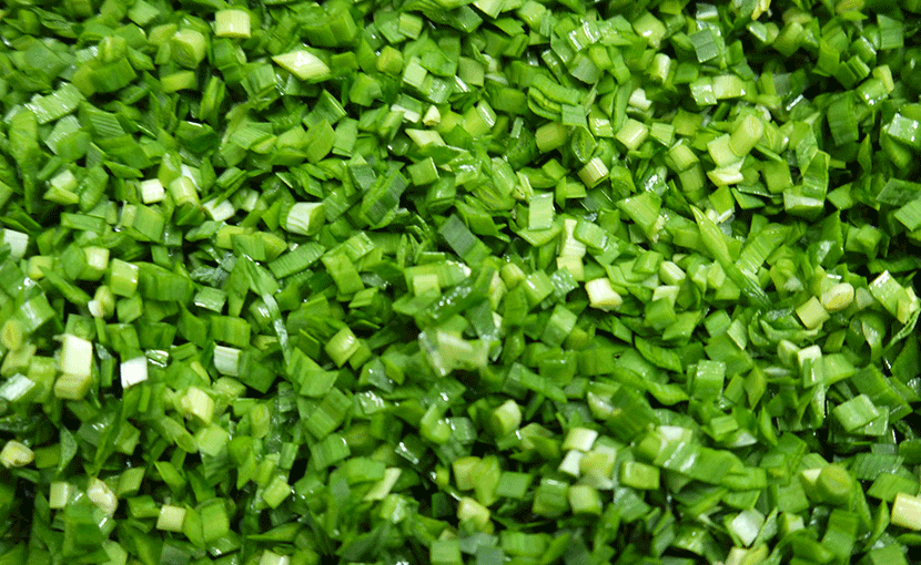 ZW-806 Large Vegetable Cutter