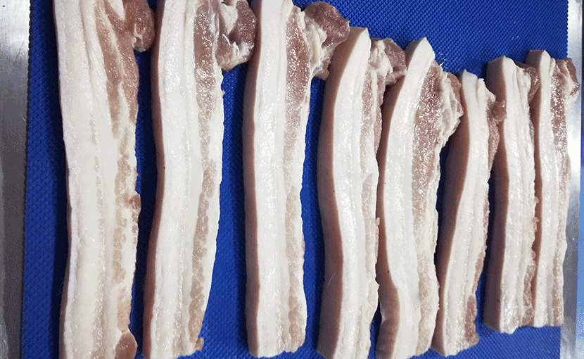 ZW-005 meat slicer