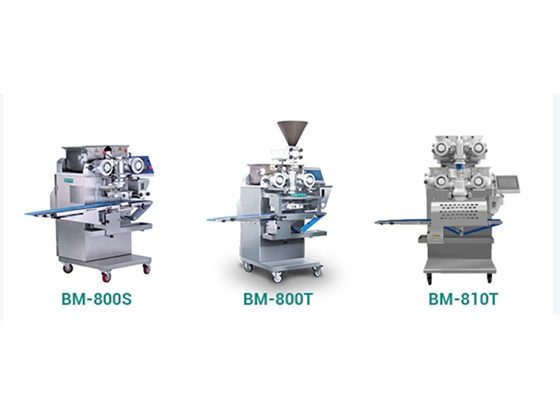 Multi-Function Encrusting Machine --- BM-800T	