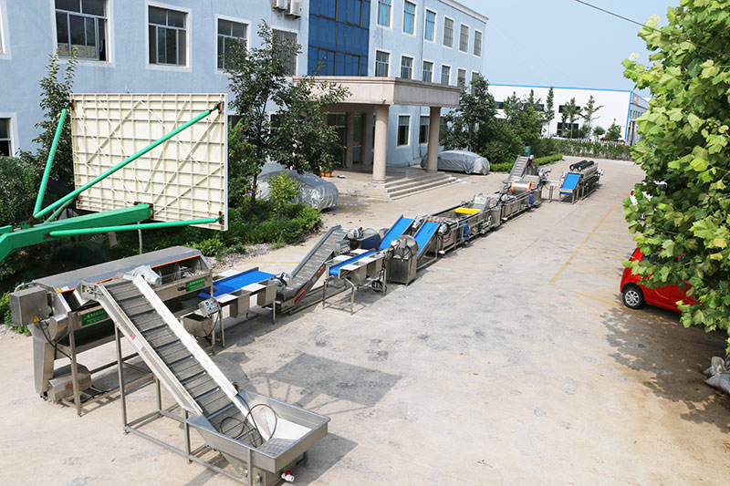 Pre-prepared food and clean vegetable processing line