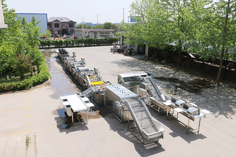 Automatic kimchi processing line