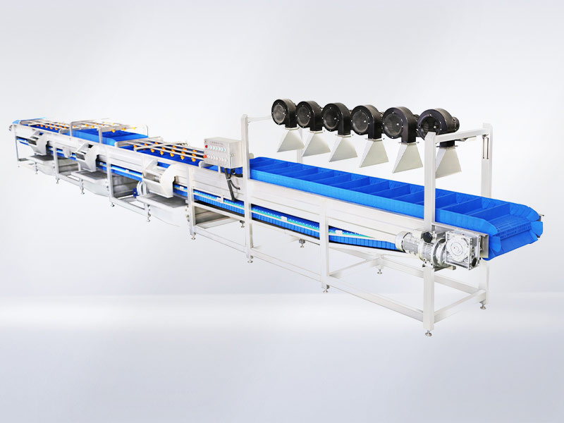 Long leaf vegetable non-destructive cleaning air drying prodution line 