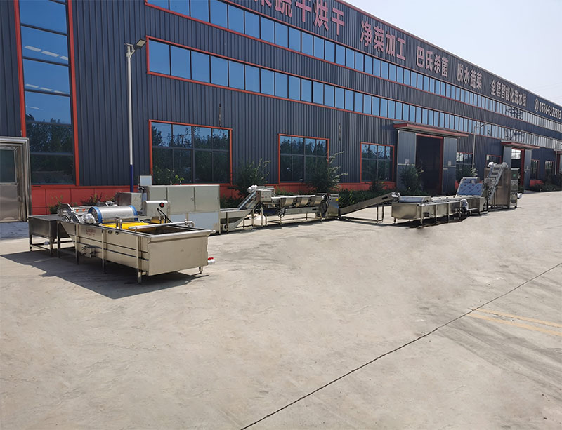 Horizontal Vortex Spiral Washing Machine Fruit and vegetable crisp cleaning and pre-processing equipment