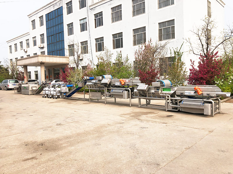 Long leaf vegetable non-destructive cleaning air drying prodution line 