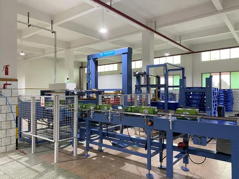 Secondary Packaging System Full Automatic Carton Case Palletizer