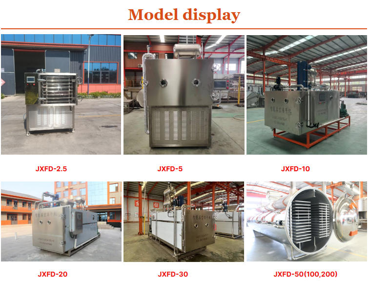 Vacuum freeze drying freeze dryer vegetable freeze dryer small laboratory vacuum drying equipment