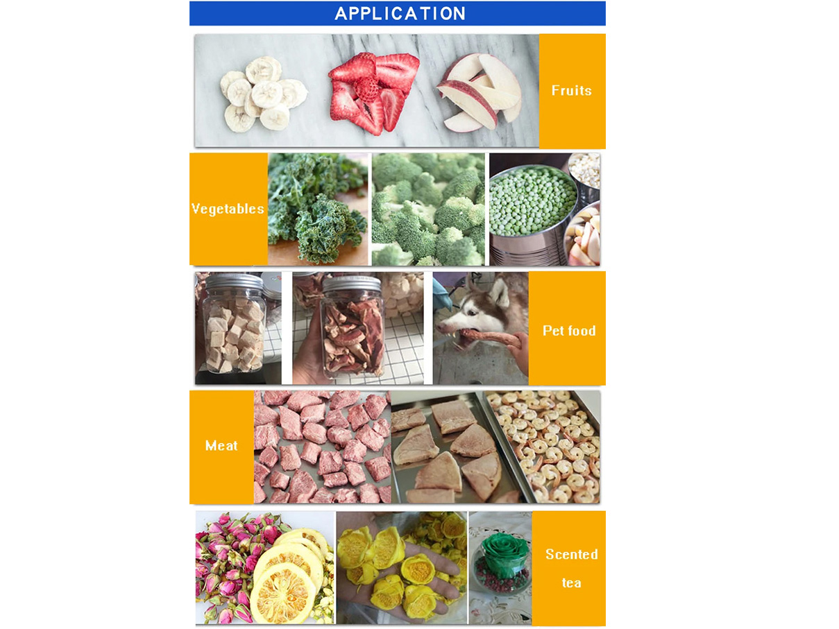 Vacuum freeze drying freeze dryer vegetable freeze dryer small laboratory vacuum drying equipment