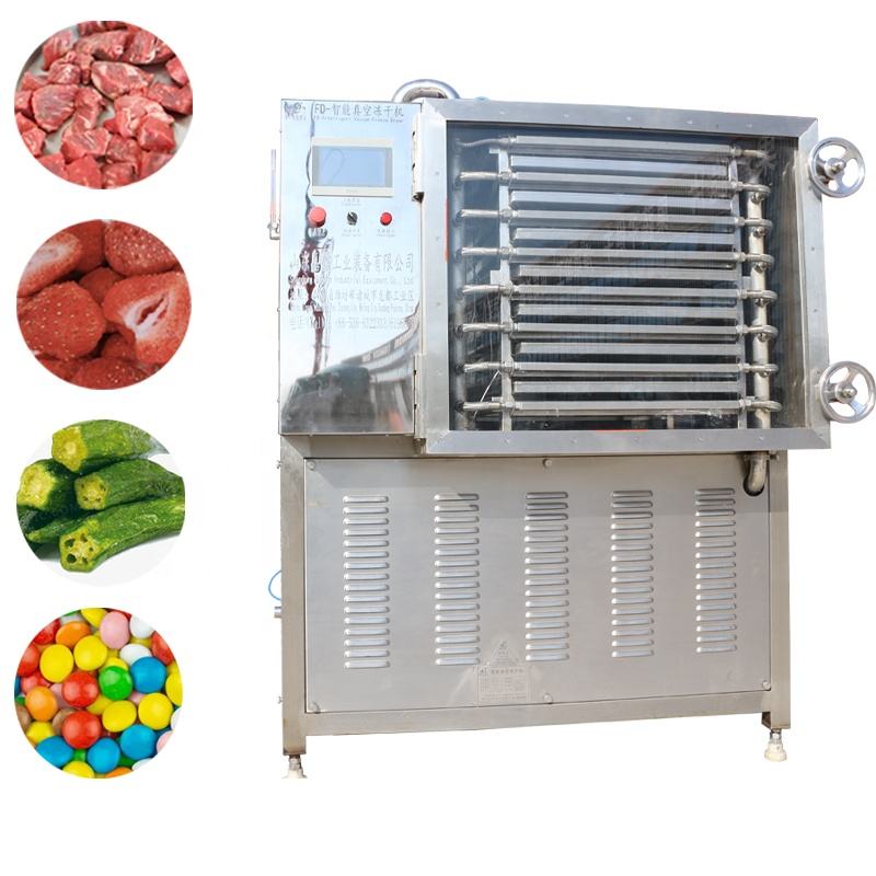 Vacuum freeze drying freeze dryer vegetable freeze dryer small laboratory vacuum drying equipment