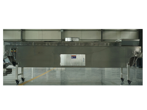 LooMak Mesh Belt Conveyoring Cooling Machine--- 4m/6m/9m