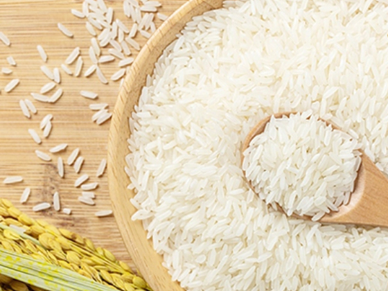 Nutritional Rice and Instant Rice Production Line